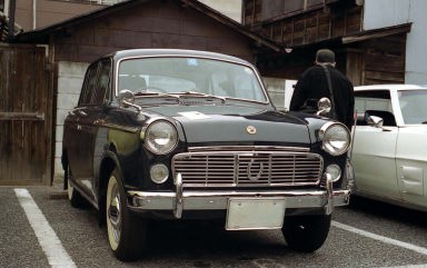 Bluebird P310
