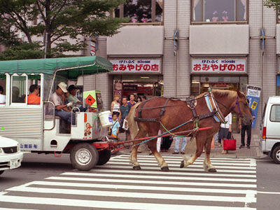 馬車を牽く馬