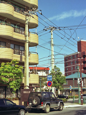 夫婦電柱