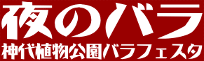 夜のバラ　神代植物公園