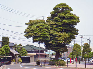 境木立場跡