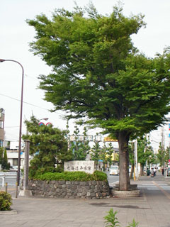 平塚宿上方見附