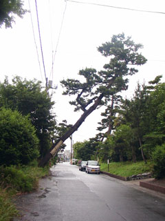 大磯宿江戸方見附跡付近