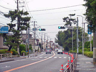 二宮駅付近の松の木