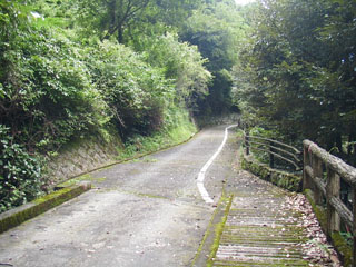 発電所管理用道路