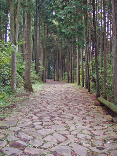 山中城跡を過ぎた辺りの上長坂