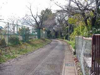 法善寺旧跡碑前の道