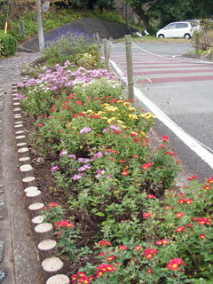 遊歩道脇の花壇