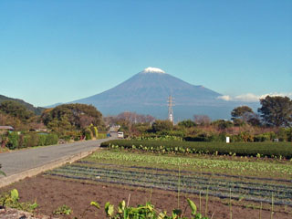 中往還の終点から見た富士山